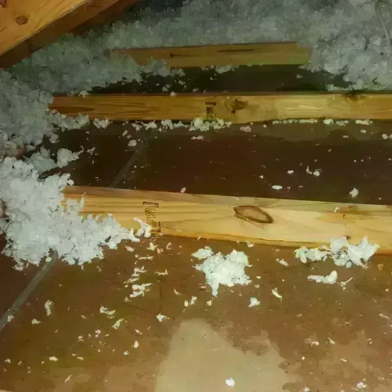 Attic Water Damage in Rockcreek, OR